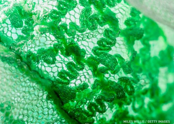 Thử tài suy đoán