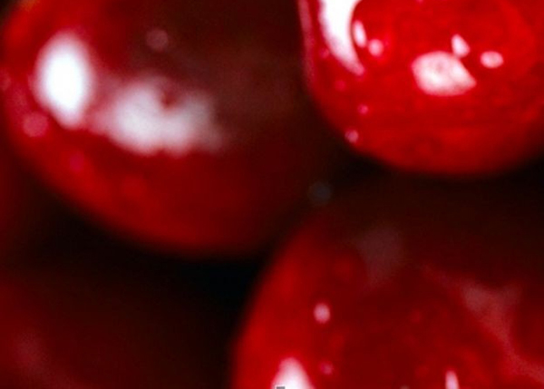 Thử tài suy đoán