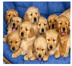 Đề thi học kỳ 2 môn Tiếng Anh lớp 4 trường Tiểu học Đồng Kho 1, Bình Thuận năm học 2013 - 2014