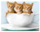 Đề thi học kỳ 2 Tiếng Anh lớp 2 - Đề số 2