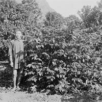 Giáo án Lịch sử 11 bài 24: Việt Nam trong những năm chiến tranh thế giới thứ nhất (1914 - 1918)