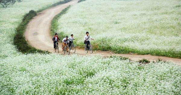 Tả con đường tới trường