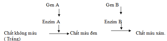 Đề thi thử đại học môn sinh
