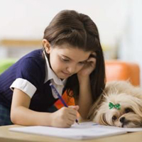 Đề thi cuối học kì 2 môn Toán lớp 3 năm 2015 - 2016