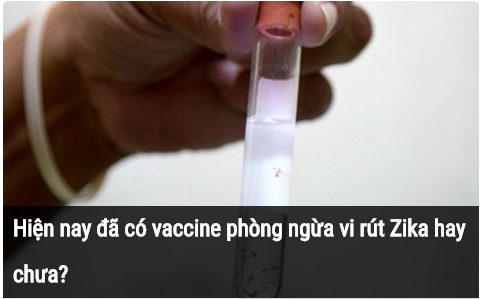 Làm trắc nghiệm để biết bạn có nguy cơ nhiễm vi rút Zika hay không