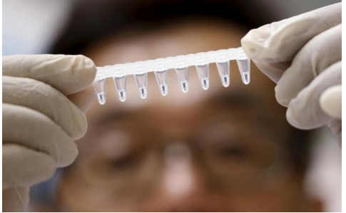 Làm trắc nghiệm để biết bạn có nguy cơ nhiễm vi rút Zika hay không