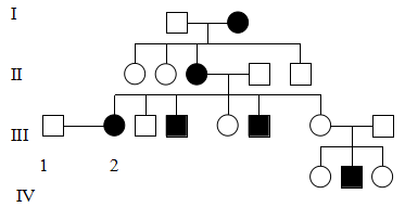 Đề thi thử đại học môn sinh