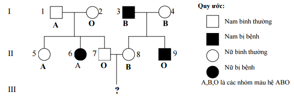 Đề thi thử THPT Quốc gia môn Sinh học lần 1 năm 2016 trường THPT Hàn Thuyên, Bắc Ninh