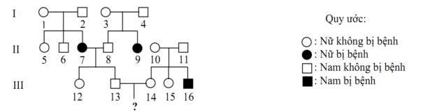 Đề thi thử THPT Quốc gia năm 2016 môn Sinh học trường THPT Lý Thái Tổ, Bắc Ninh (Lần 2)