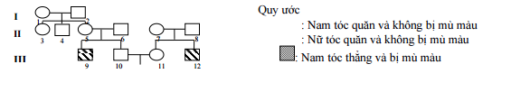 Đề thi thử THPT Quốc gia năm 2016 môn Sinh học trường THPT Số 1 Nghĩa Hành, Quảng Ngãi (Đề 3)