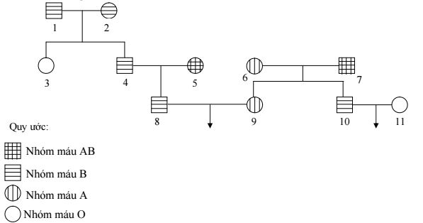 Đề thi thử THPT Quốc gia năm 2016 môn Sinh học Đề thi thử THPT Quốc gia năm 2016 môn Sinh học