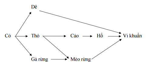 Đáp án đề thi học kì 2 môn Sinh học lớp 9