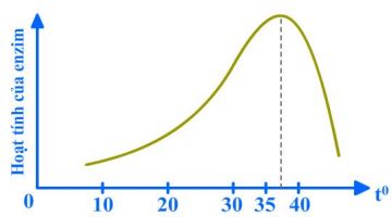 Đề thi học sinh giỏi cấp tỉnh môn Sinh học lớp 10