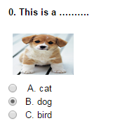 Đề thi môn Tiếng Anh lần 4 cuối học kì II lớp 4 năm học 2015 - 2016 (chương trình Tiếng Anh 10 năm)