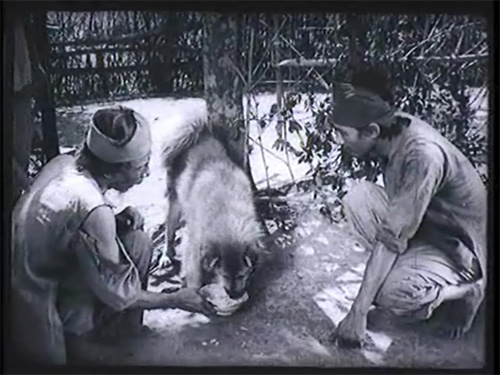 Số phận và tính cách nhân vật Lão Hạc trong truyện ngắn cùng tên của Nam Cao