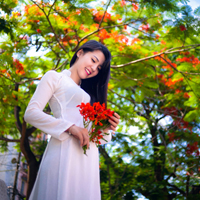 Đề thi học kì 2 môn Ngữ văn lớp 9 Phòng GD và ĐT Hoài Nhơn, Bình Định năm 2014 - 2015