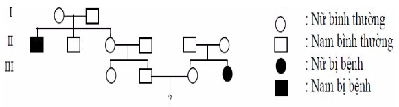 Đề thi thử đại học môn sinh