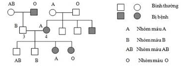 Đề thi thử đại học môn sinh
