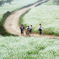 Tập làm văn lớp 4: Bài văn mẫu về miêu tả