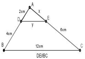 Đề thi học kì 2 môn toán lớp 8