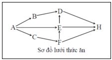 Đề thi học kì 2 môn Sinh học lớp 12 Đề thi học kì 2 môn Sinh học lớp 12