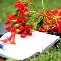 Đề thi thử THPT Quốc gia môn Hóa năm 2016 Trường THPT Nguyễn Trãi, Hải Dương (Lần 1)