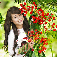 Đề thi tuyển sinh vào lớp 10 môn Ngữ văn năm 2015 - 2016 Sở GD và ĐT Hưng Yên