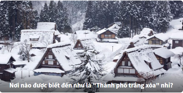 Trắc nghiệm kiến thức