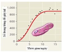 Đề thi thử đại học môn sinh