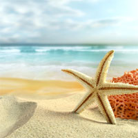 Giáo án mầm non đề tài: Bé và biển