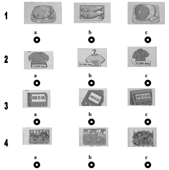 Đề kiểm tra học kỳ 2 môn Tiếng Anh lớp 4