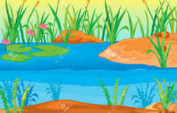 Đề thi học kỳ 2 môn Tiếng Anh lớp 3 trường Tiểu Học Thị Trấn Ân Thi, Hưng Yên năm học 2015 - 2016