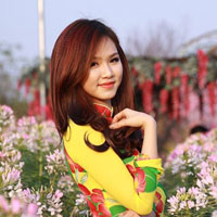 Đề thi học kì 2 môn Ngữ văn lớp 12 trường THPT Yên Lạc 2, Vĩnh Phúc năm học 2015 - 2016