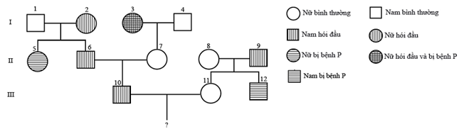 Đề thi thử đại học môn sinh
