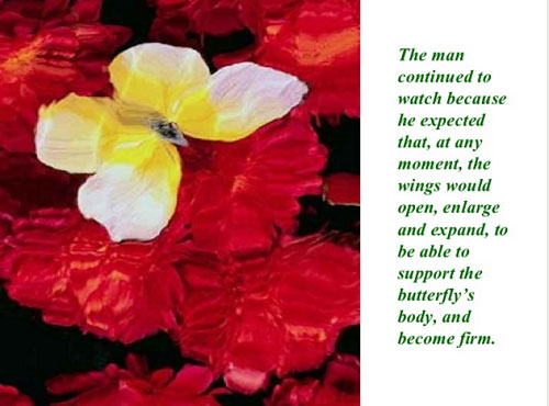 Học tiếng Anh qua truyện ngắn Sâu hóa bướm 