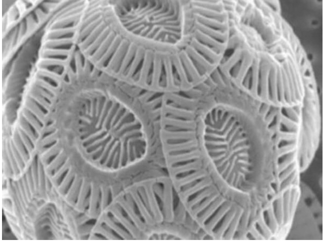 Bạn sẽ được phong "thánh" nếu đoán trúng hết những hình ảnh sau đây