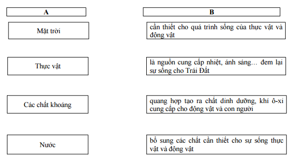Đề thi học kì 2 môn Khoa học lớp 4
