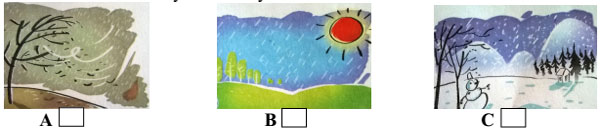 Đề kiểm tra học kỳ 2 môn Tiếng Anh lớp 5