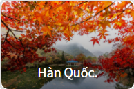 Những món mì nổi tiếng thế giới