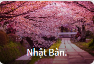 Những món mì nổi tiếng thế giới