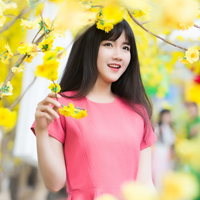 Đề thi giữa học kỳ 2 môn Tiếng Anh lớp 11 trường THPT Nguyễn Trung Trực năm học 2015 - 2016