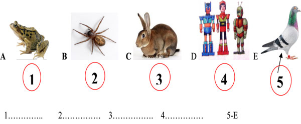 Đề thi học kỳ 2 môn Tiếng Anh lớp 4 Đề kiểm tra học kỳ 2 môn Tiếng Anh lớp 4