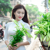 Đề thi học kỳ 2 môn Tiếng Anh lớp 8 trường THCS Cảnh Hóa, Quảng Bình năm học 2015 - 2016