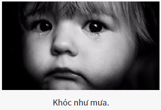 Cuốn sách nào là dành cho bạn?