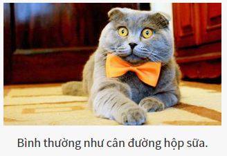 Cuốn sách nào là dành cho bạn?