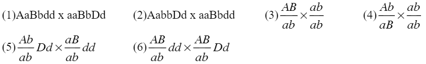Đề thi thử đại học môn sinh