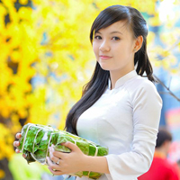 Đề thi tuyển sinh vào lớp 10 môn Ngữ văn năm 2015 - 2016 Sở GD và ĐT Quảng Ninh