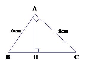 Đáp án đề thi học kì 2 môn Toán lớp 8