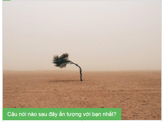 Bạn sẽ thống trị cả thế giới bằng cách nào?