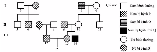 Đề thi thử đại học môn sinh